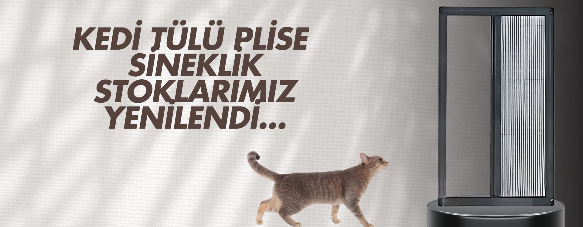 Kedi Sinekliği